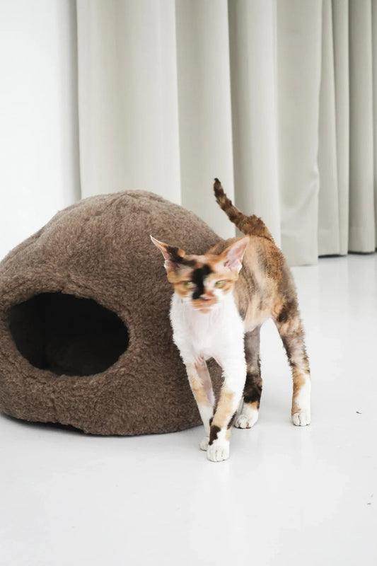Nest Natural Sheepskin Pet Bed - Beige