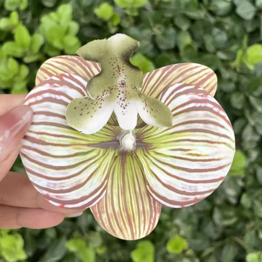 1Pair Thai Fairy Butterfly Flower Shoe Buckles Phalaenopsis Shoe Flower Sandals Sweet Butterfly Orchid Shoe Accessory Shoe Clips