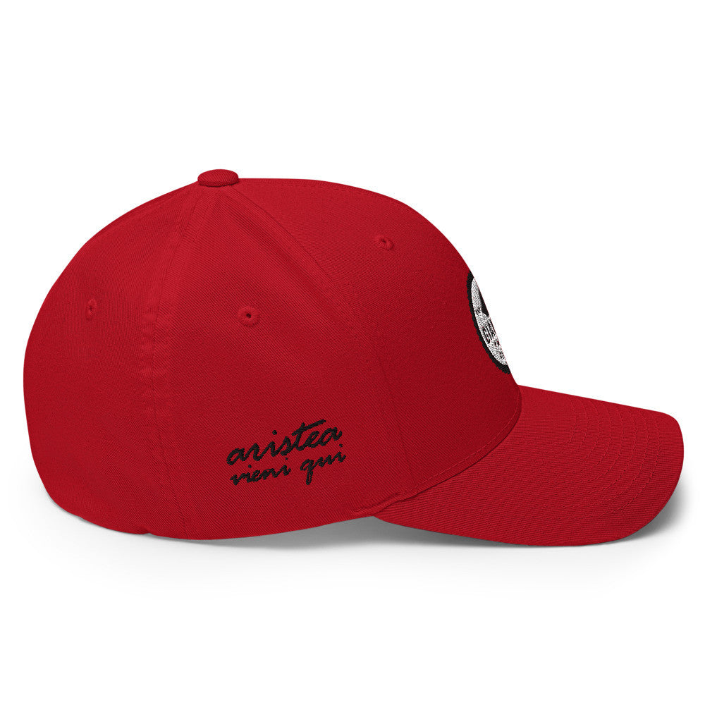 Vieni Qui Closed Back Structured Cap by Gianneli